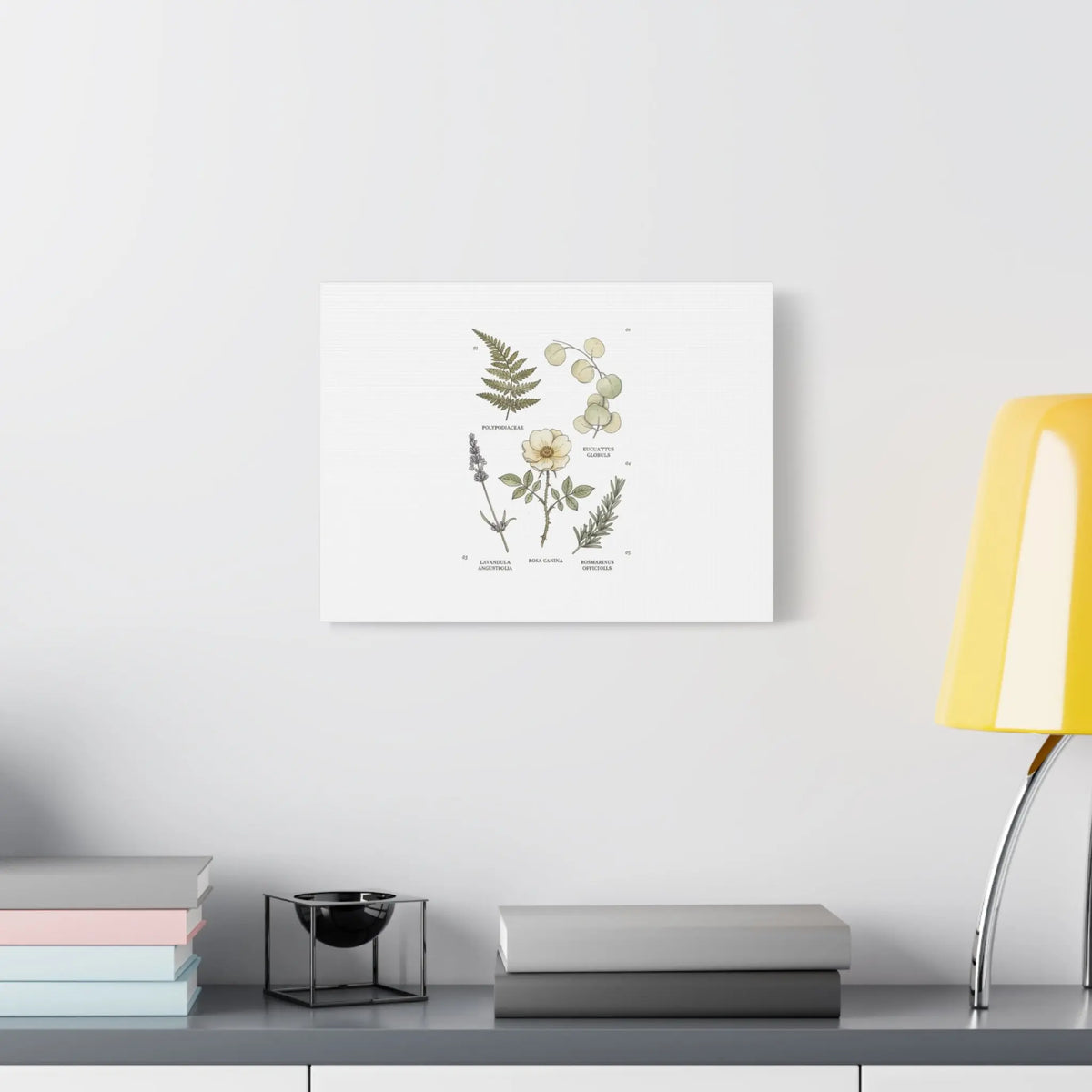 Botanical Illustration Canvas | Herbarium Wall Print, Vintage Plant Diagram Printify