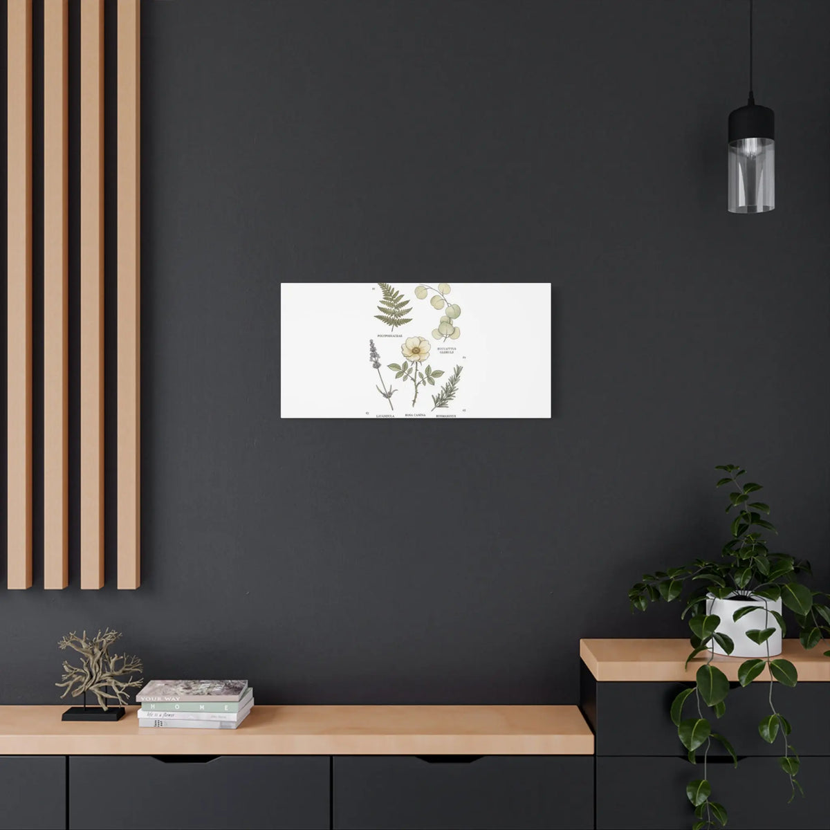 Botanical Illustration Canvas | Herbarium Wall Print, Vintage Plant Diagram Printify