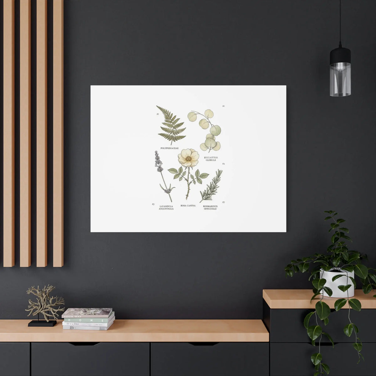 Botanical Illustration Canvas | Herbarium Wall Print, Vintage Plant Diagram Printify