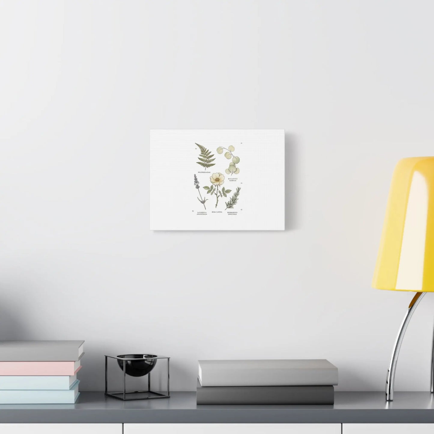 Botanical Illustration Canvas | Herbarium Wall Print, Vintage Plant Diagram Printify