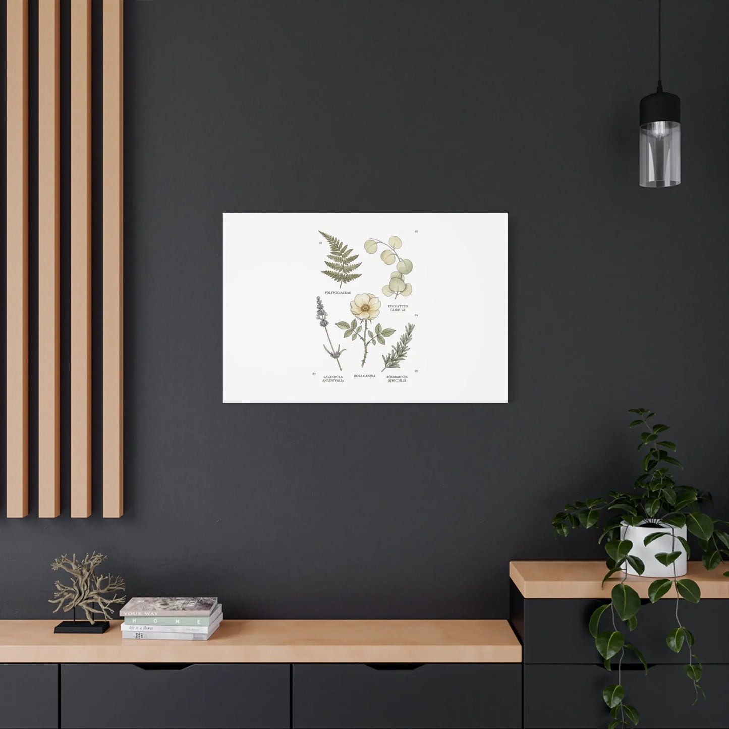 Botanical Illustration Canvas | Herbarium Wall Print, Vintage Plant Diagram Printify
