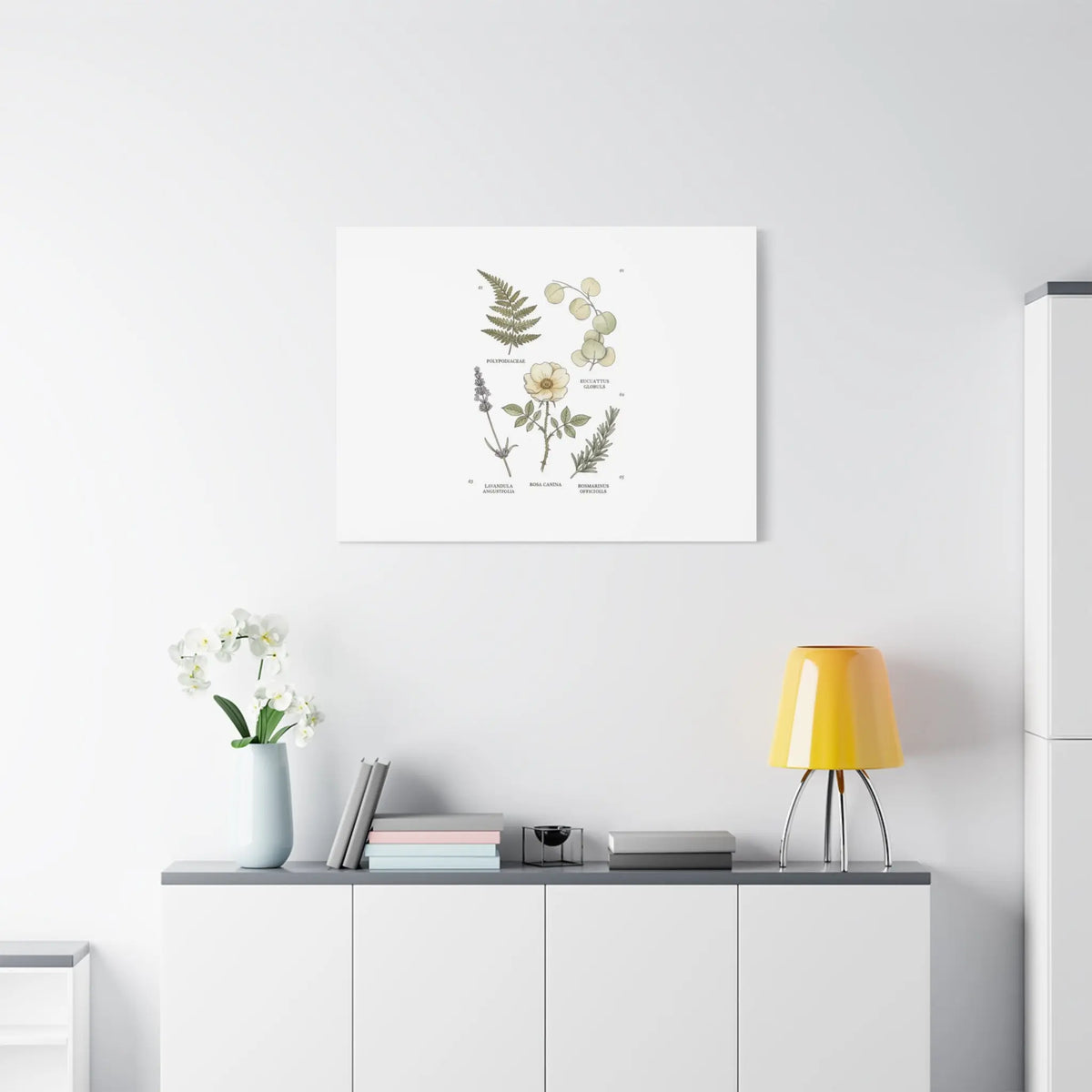 Botanical Illustration Canvas | Herbarium Wall Print, Vintage Plant Diagram Printify