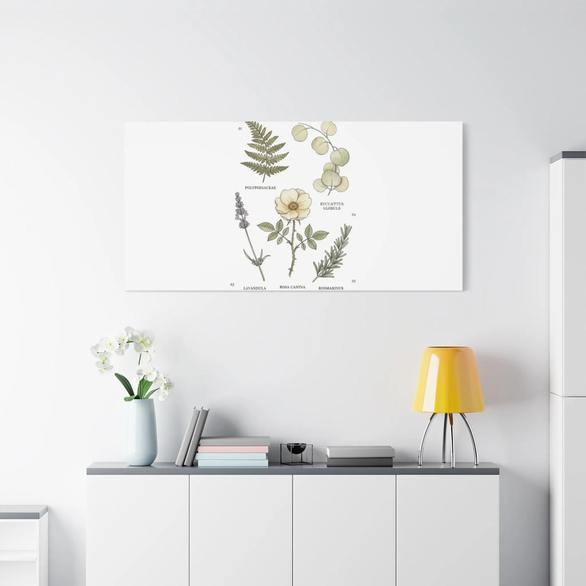 Botanical Illustration Canvas | Herbarium Wall Print, Vintage Plant Diagram Printify