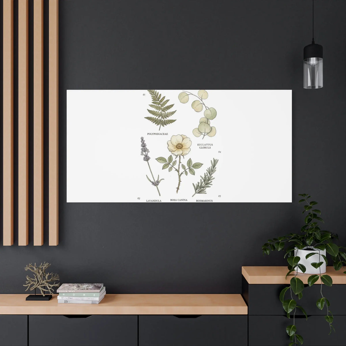 Botanical Illustration Canvas | Herbarium Wall Print, Vintage Plant Diagram Printify
