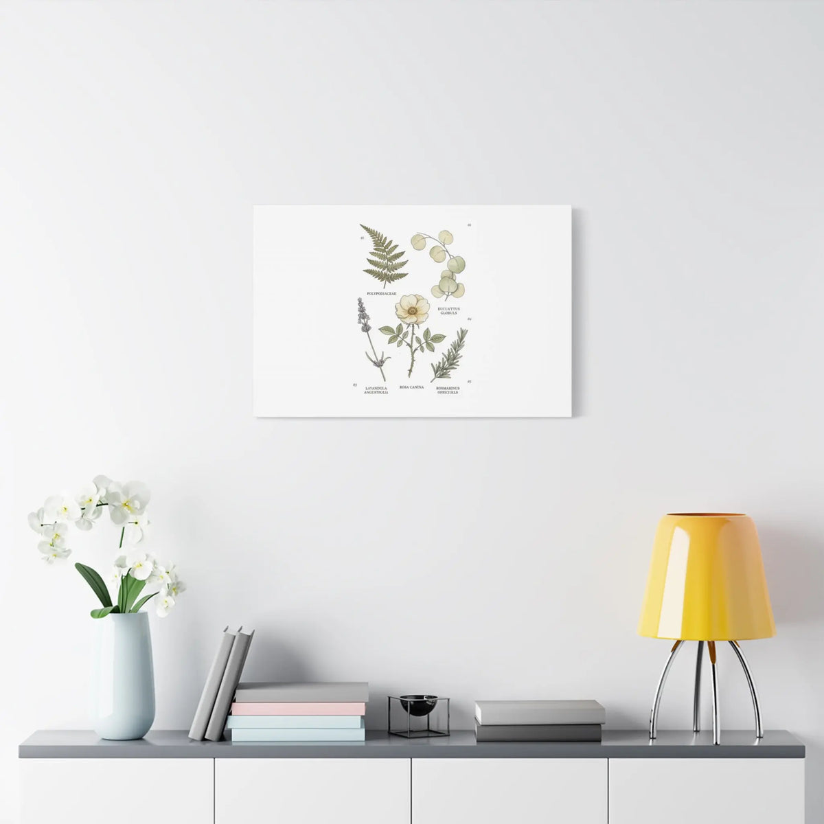 Botanical Illustration Canvas | Herbarium Wall Print, Vintage Plant Diagram Printify