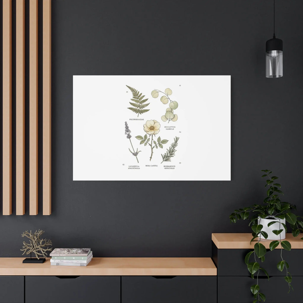 Botanical Illustration Canvas | Herbarium Wall Print, Vintage Plant Diagram Printify