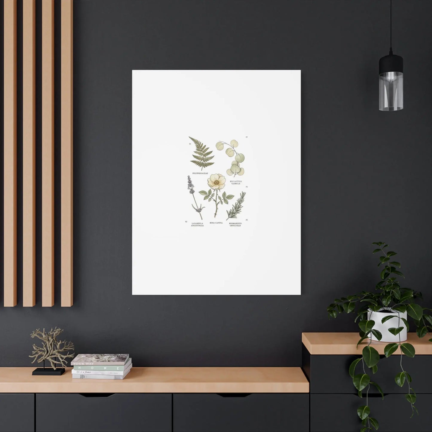 Botanical Illustration Canvas | Herbarium Wall Print, Vintage Plant Diagram Printify