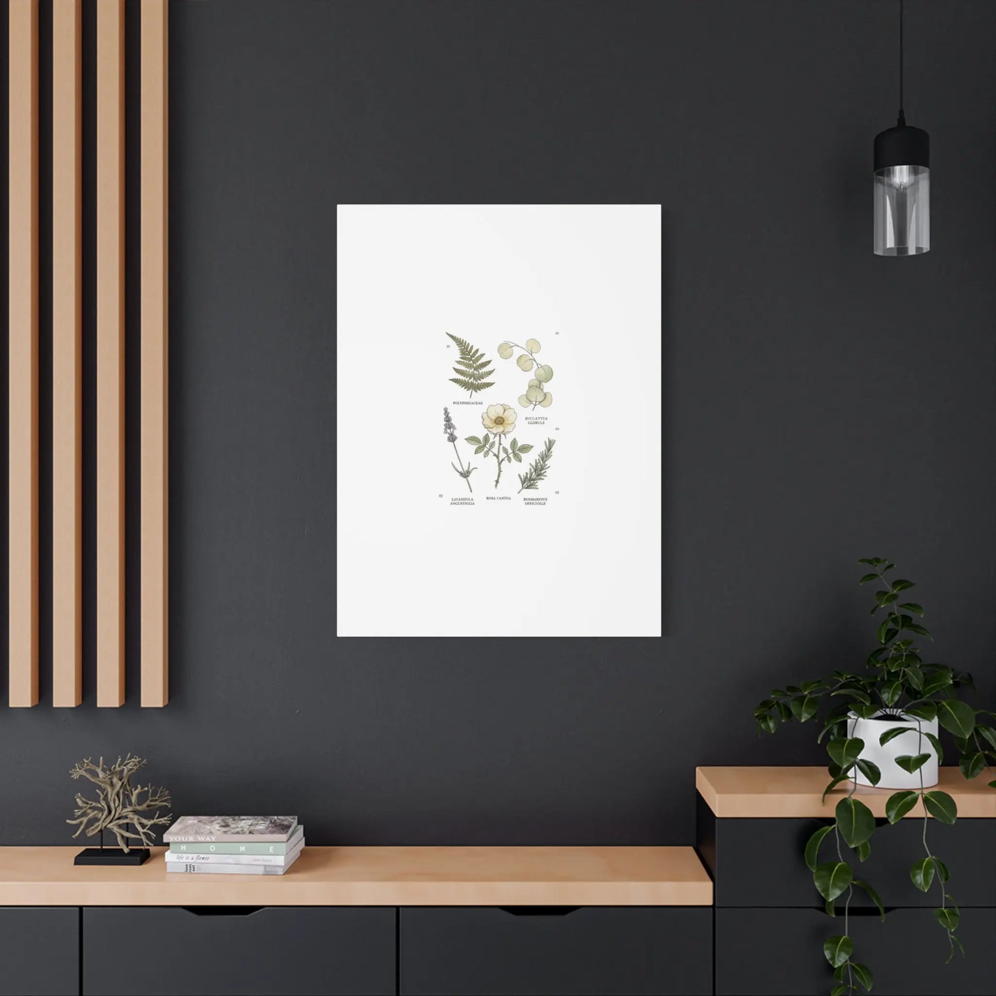 Botanical Illustration Canvas | Herbarium Wall Print, Vintage Plant Diagram Printify