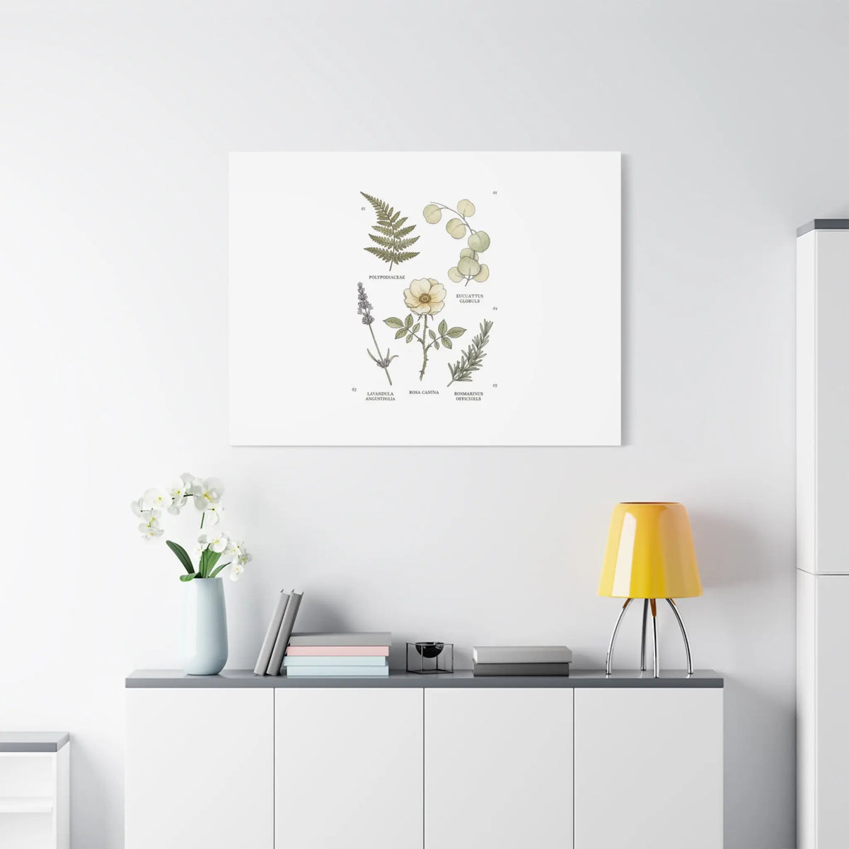 Botanical Illustration Canvas | Herbarium Wall Print, Vintage Plant Diagram Printify