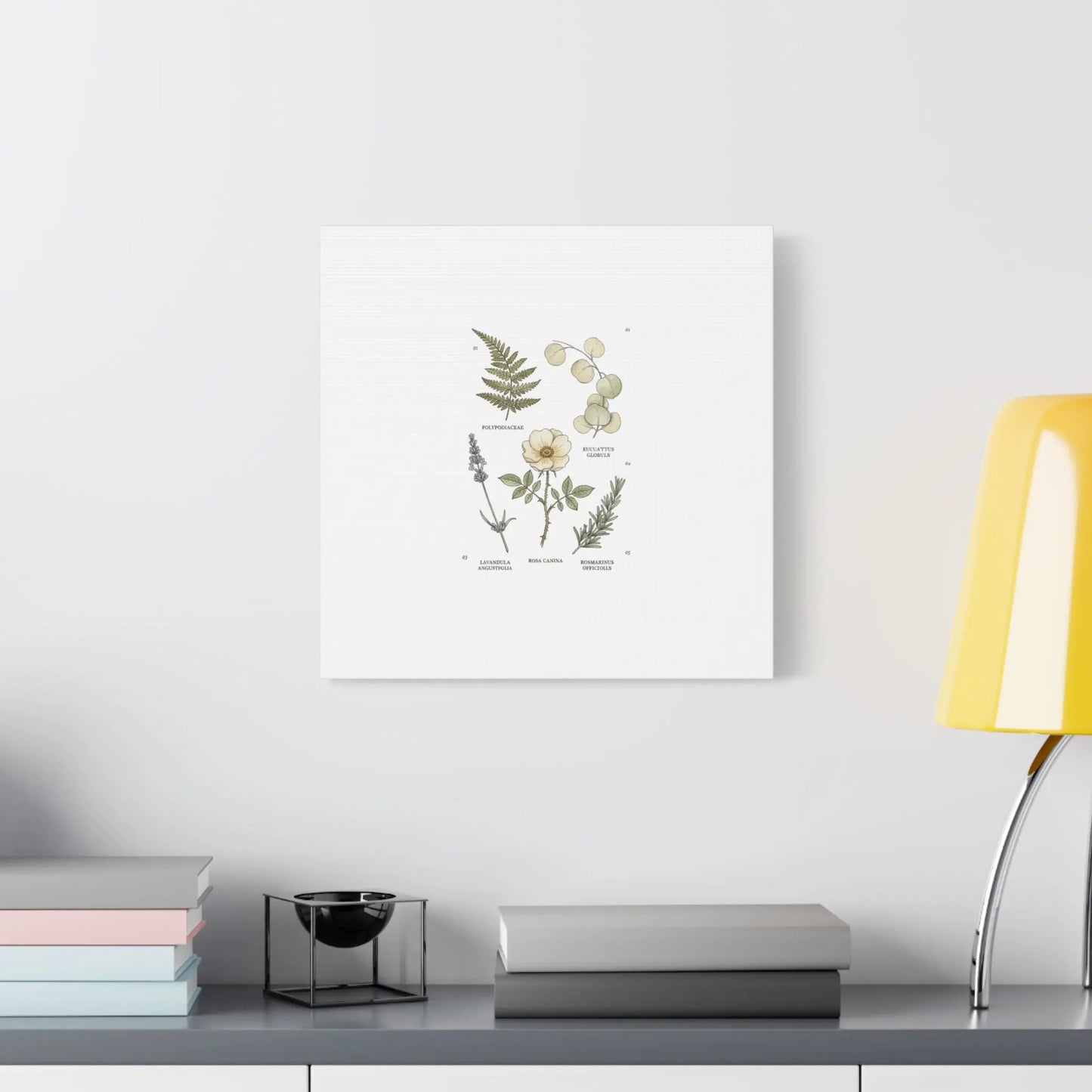 Botanical Illustration Canvas | Herbarium Wall Print, Vintage Plant Diagram Printify