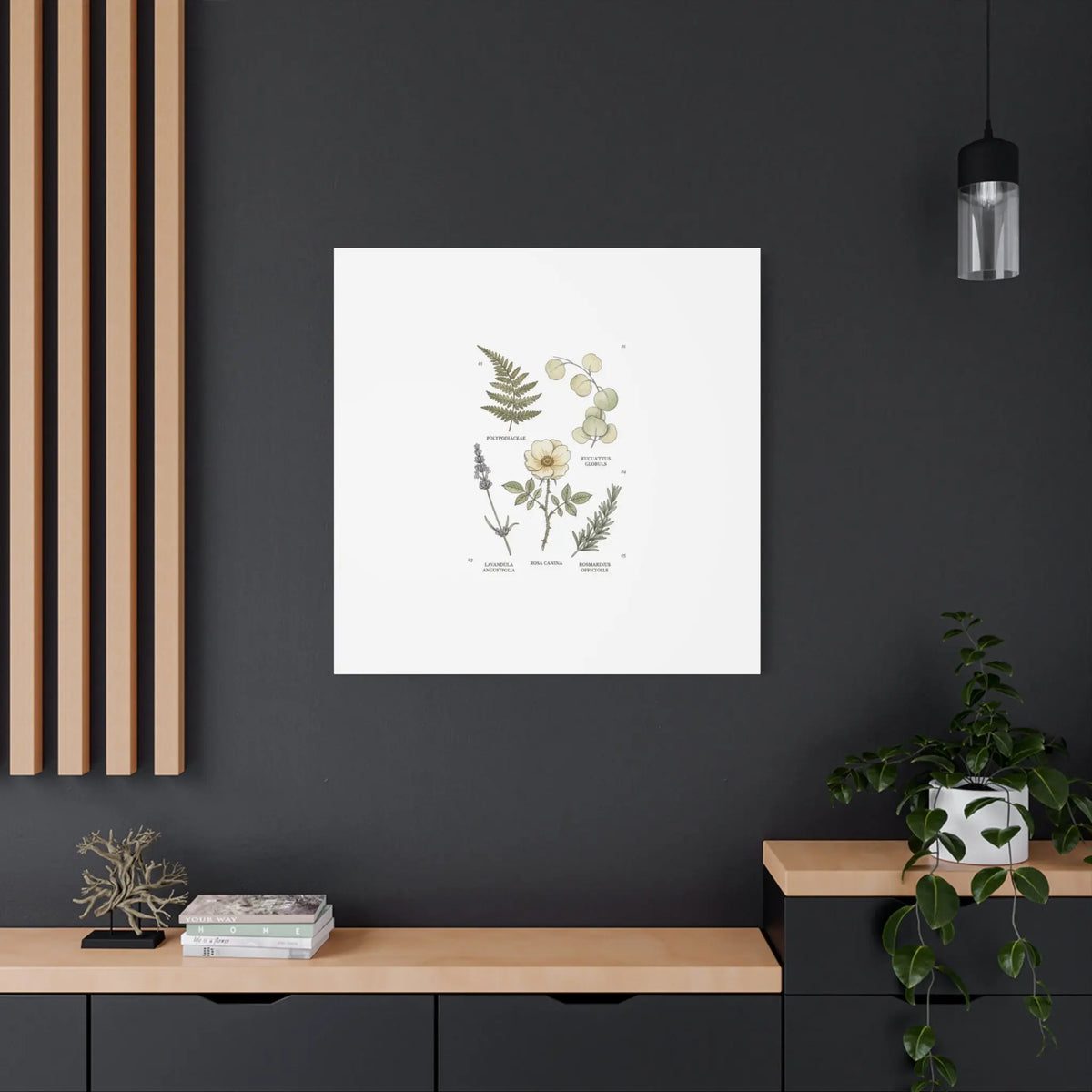 Botanical Illustration Canvas | Herbarium Wall Print, Vintage Plant Diagram Printify