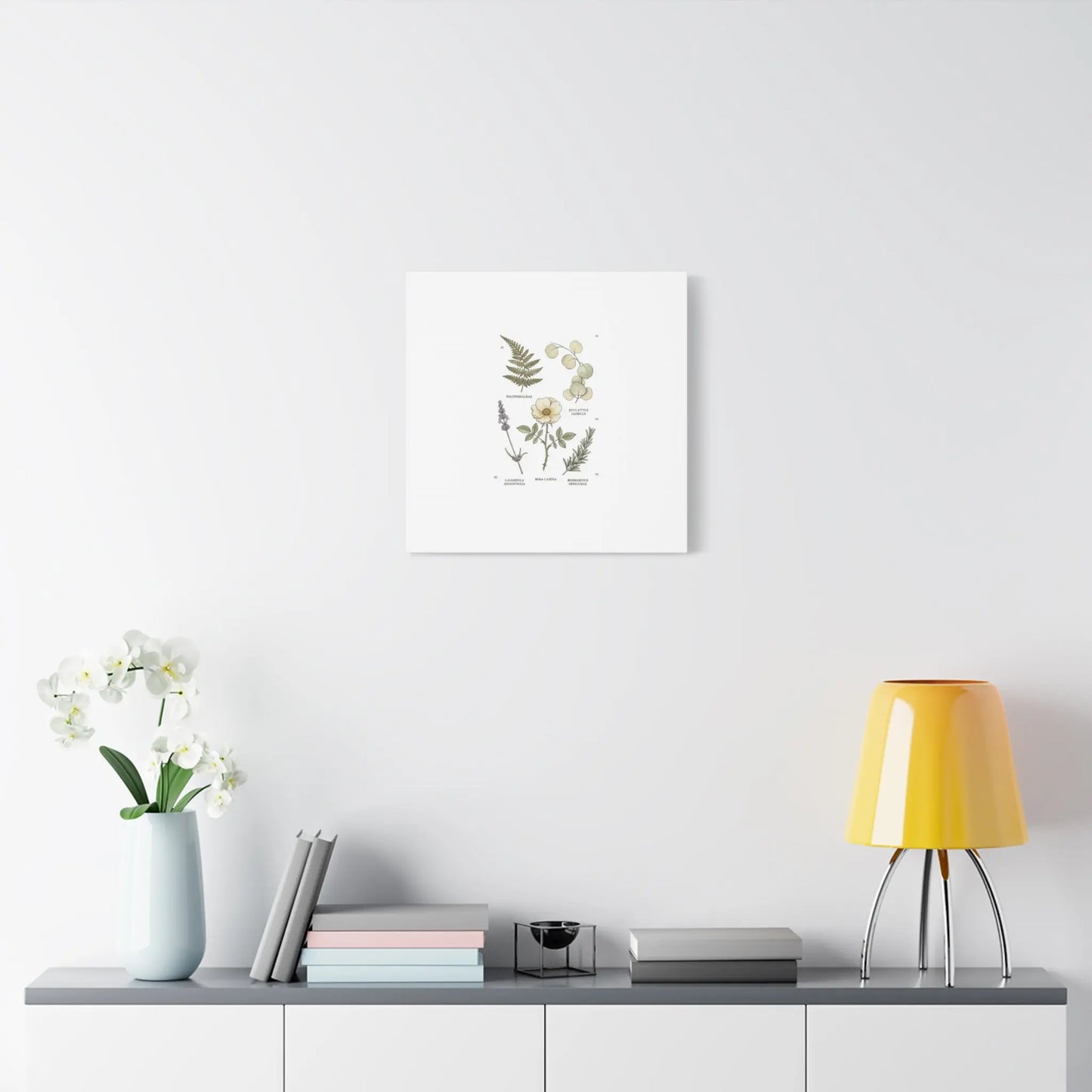 Botanical Illustration Canvas | Herbarium Wall Print, Vintage Plant Diagram Printify