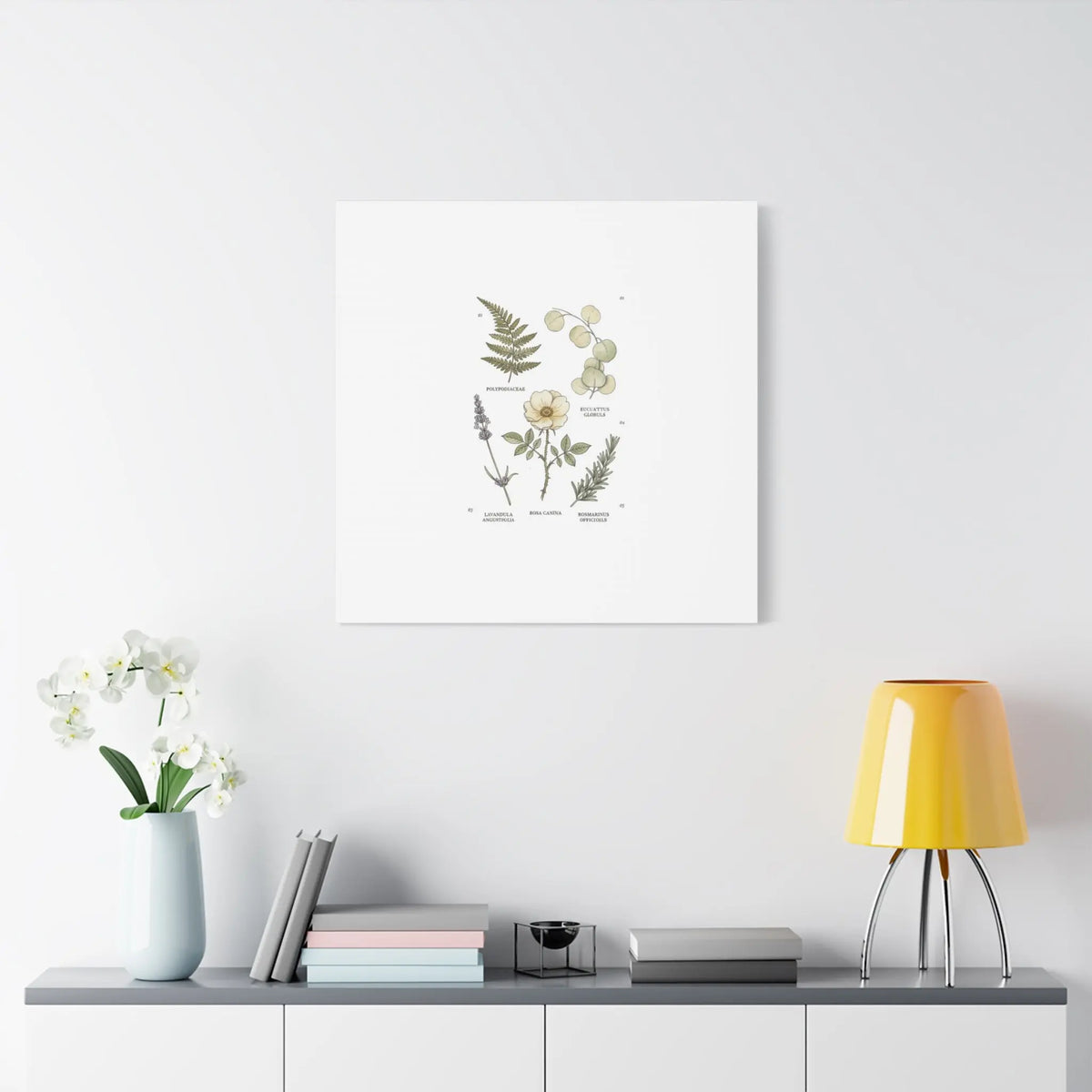 Botanical Illustration Canvas | Herbarium Wall Print, Vintage Plant Diagram Printify
