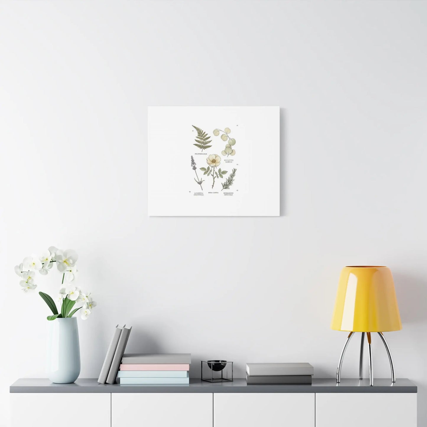 Botanical Illustration Canvas | Herbarium Wall Print, Vintage Plant Diagram Printify
