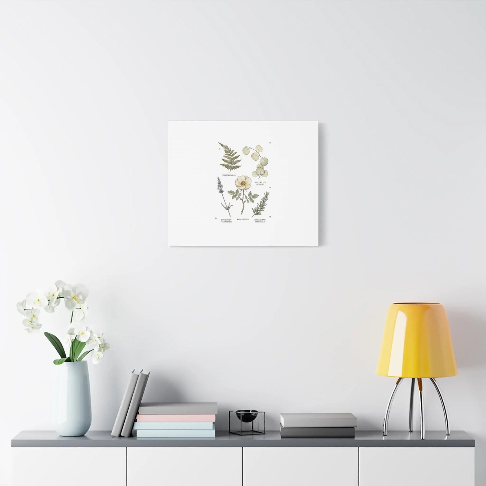 Botanical Illustration Canvas | Herbarium Wall Print, Vintage Plant Diagram Printify