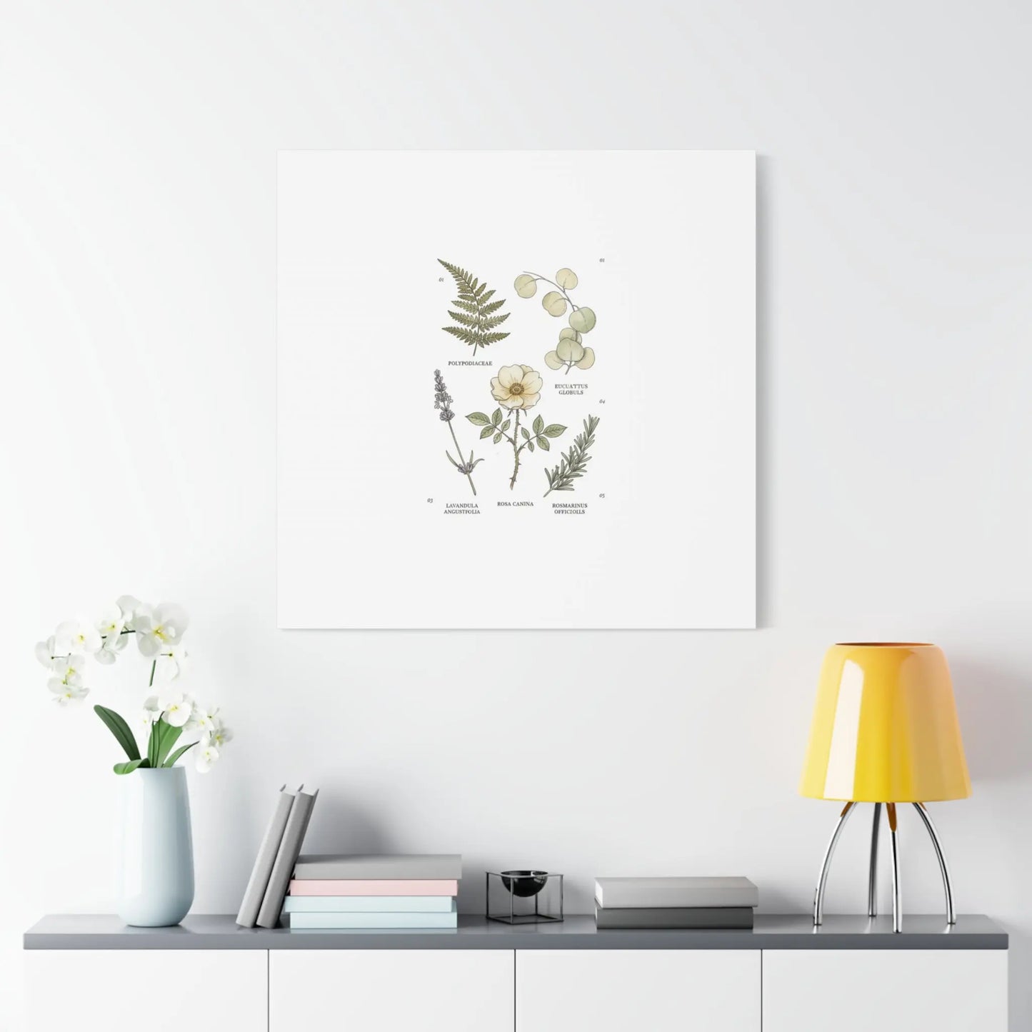 Botanical Illustration Canvas | Herbarium Wall Print, Vintage Plant Diagram Printify