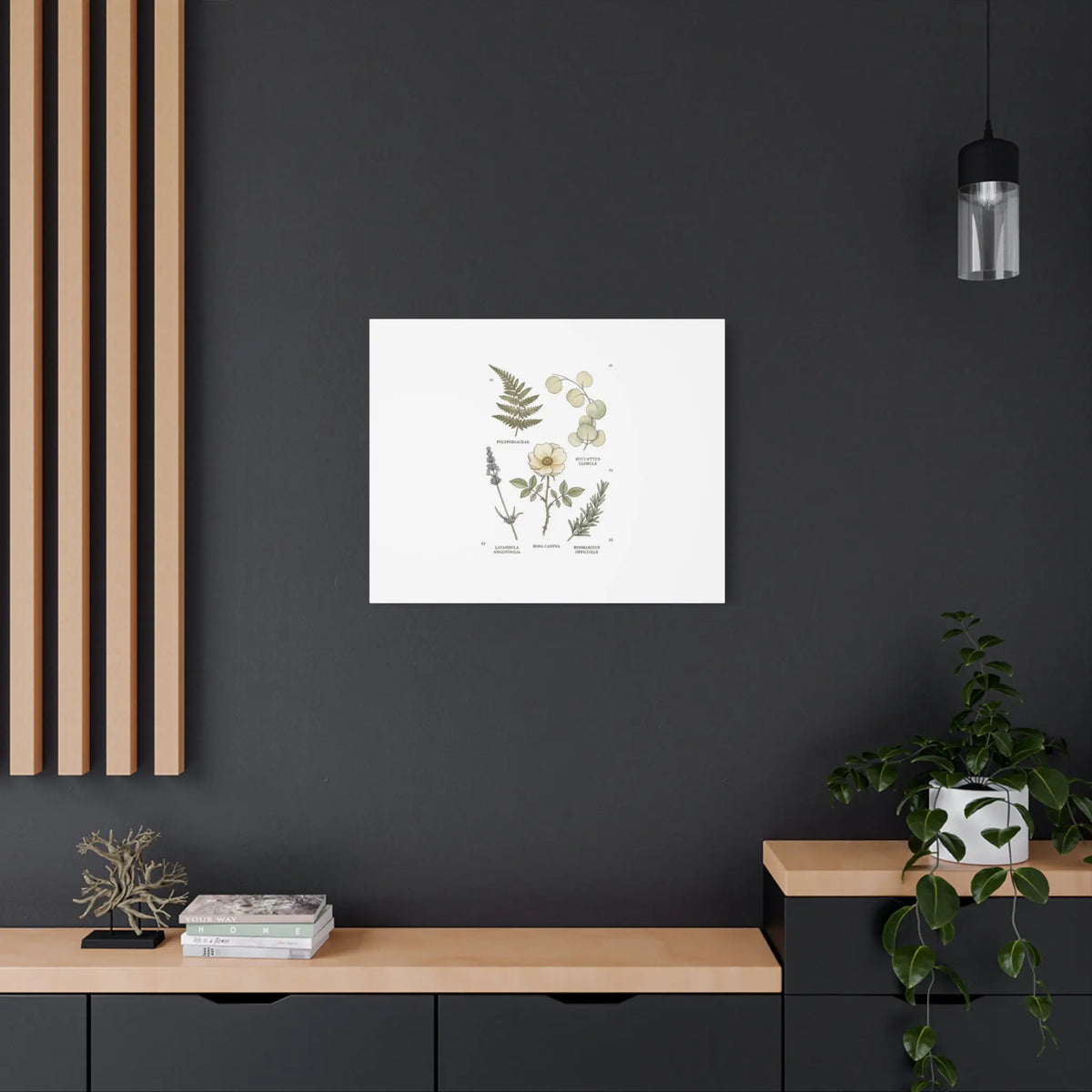 Botanical Illustration Canvas | Herbarium Wall Print, Vintage Plant Diagram Printify