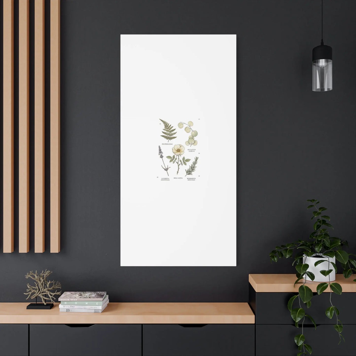 Botanical Illustration Canvas | Herbarium Wall Print, Vintage Plant Diagram Printify