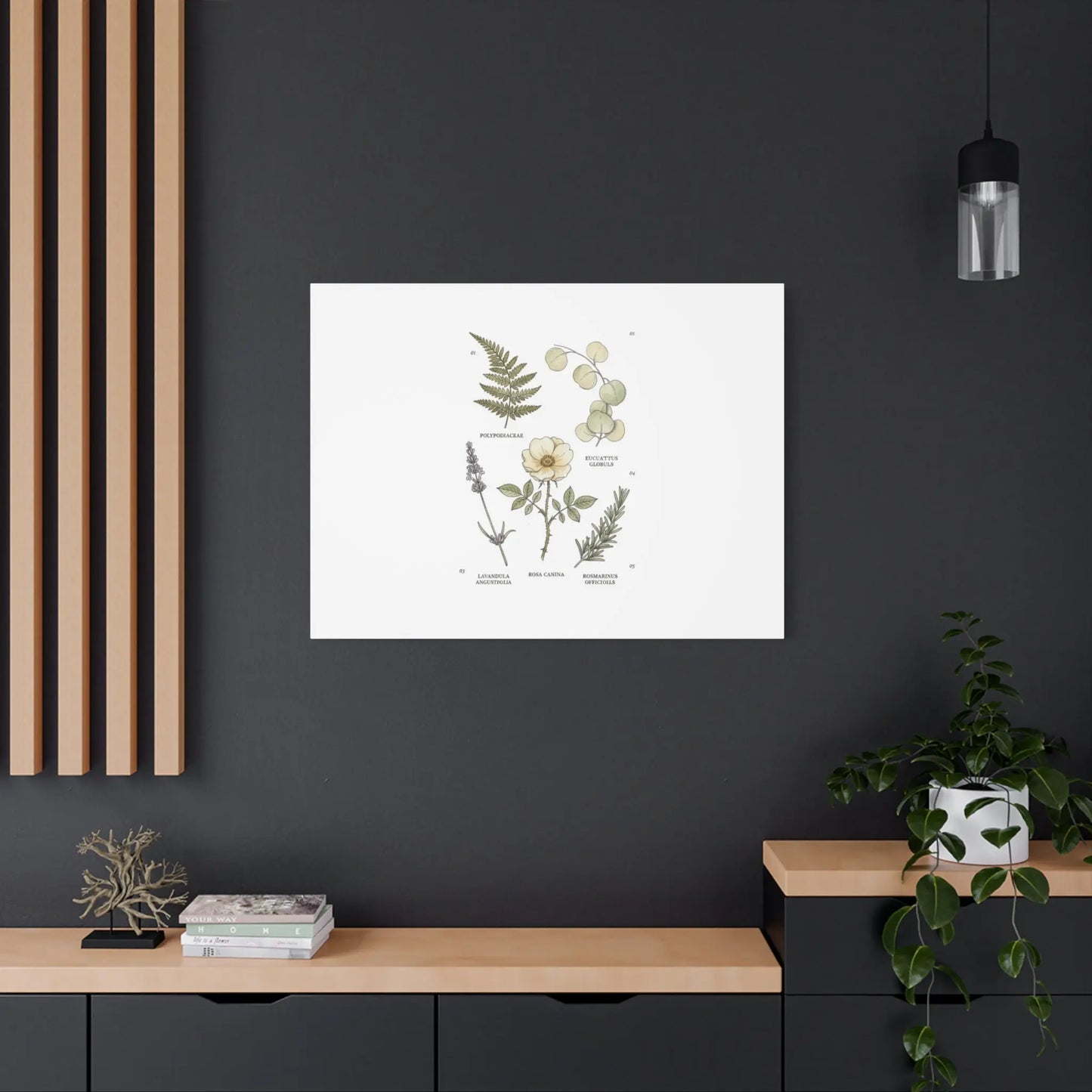 Botanical Illustration Canvas | Herbarium Wall Print, Vintage Plant Diagram Printify
