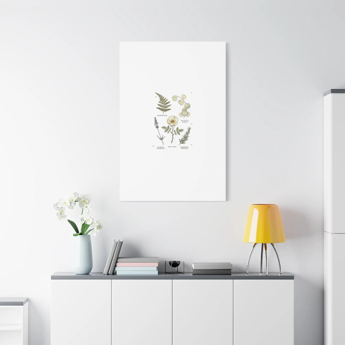 Botanical Illustration Canvas | Herbarium Wall Print, Vintage Plant Diagram Printify