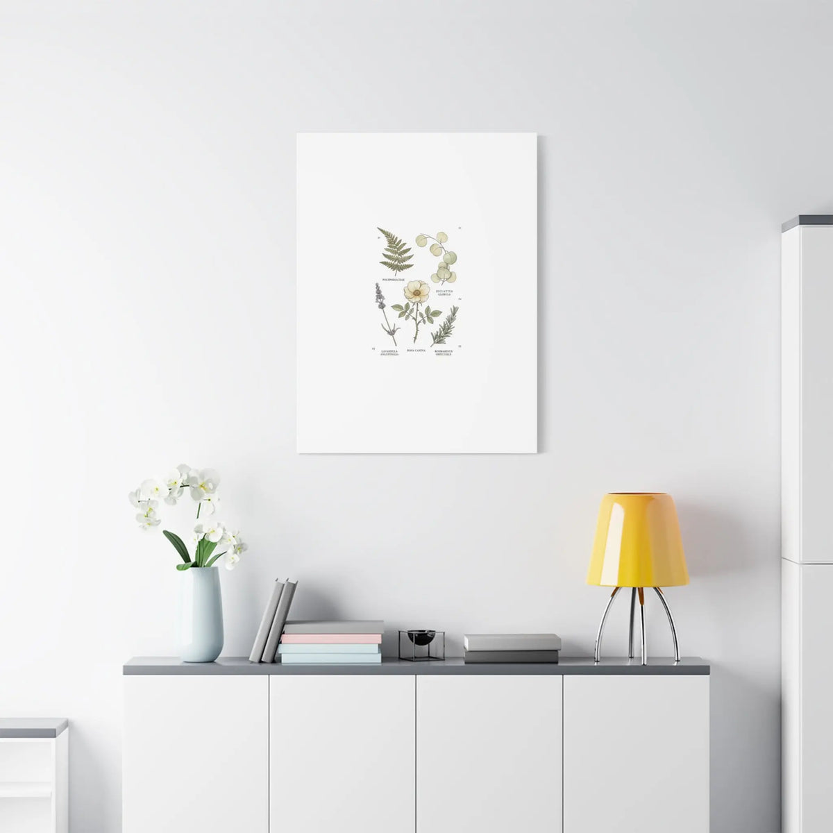 Botanical Illustration Canvas | Herbarium Wall Print, Vintage Plant Diagram Printify
