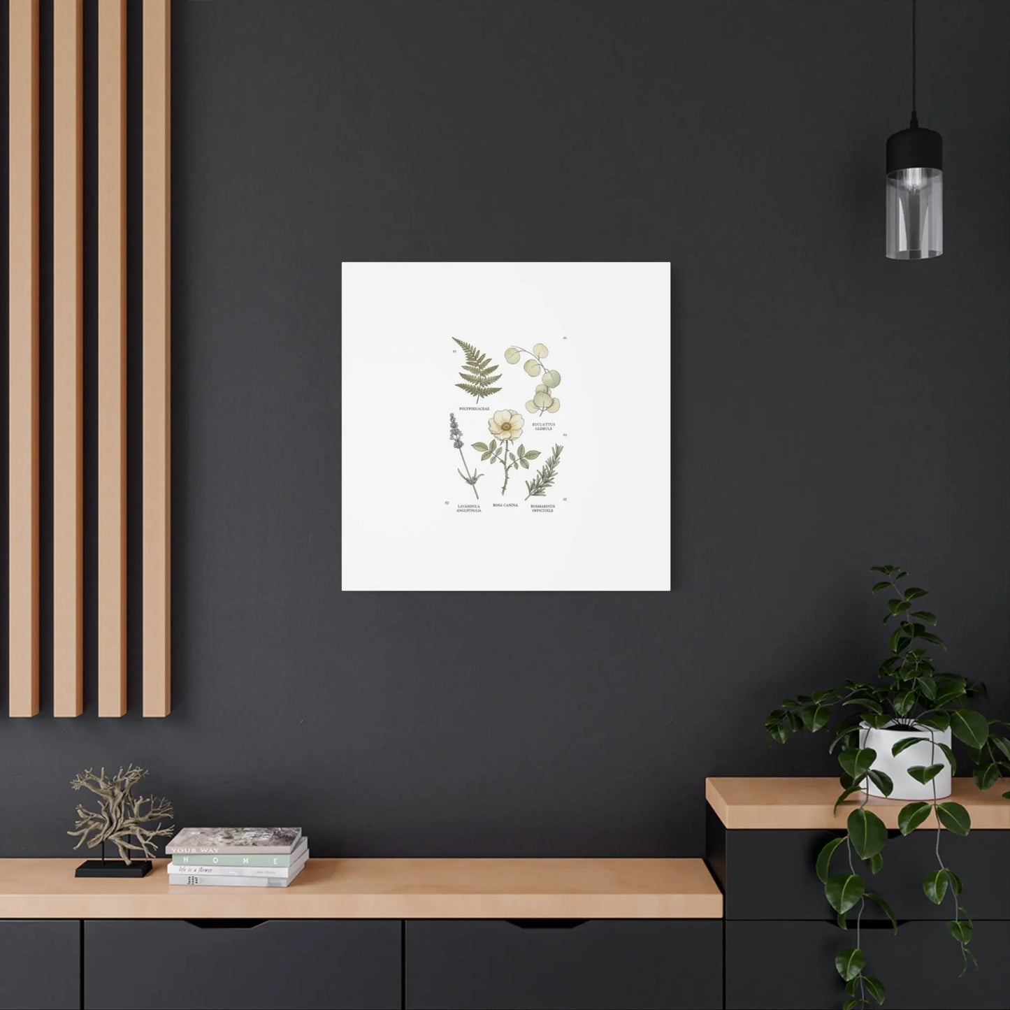 Botanical Illustration Canvas | Herbarium Wall Print, Vintage Plant Diagram Printify