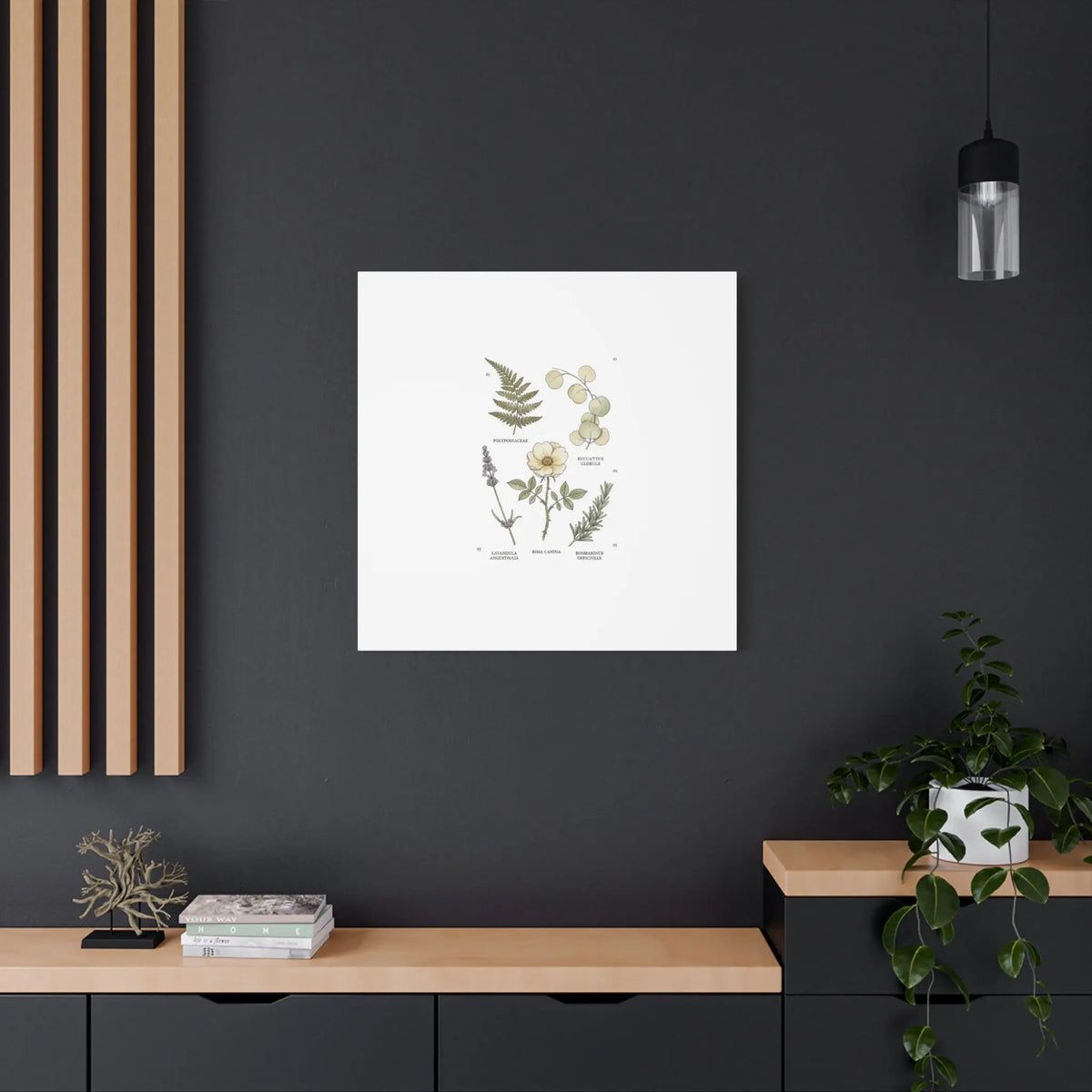 Botanical Illustration Canvas | Herbarium Wall Print, Vintage Plant Diagram Printify