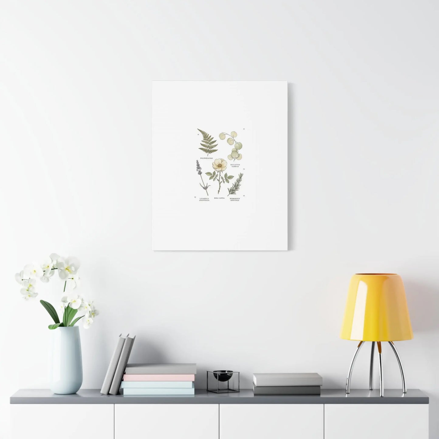 Botanical Illustration Canvas | Herbarium Wall Print, Vintage Plant Diagram Printify