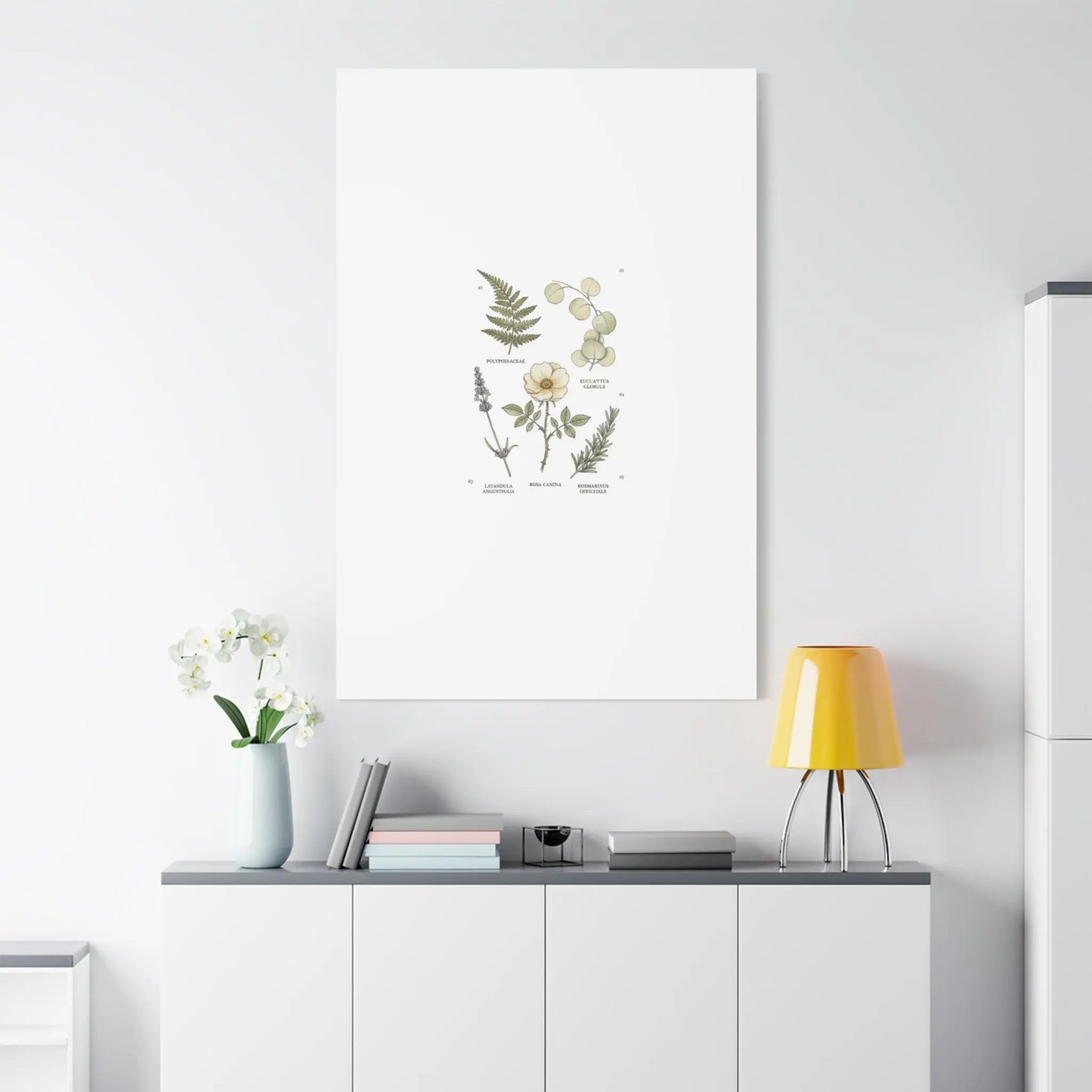 Botanical Illustration Canvas | Herbarium Wall Print, Vintage Plant Diagram Printify