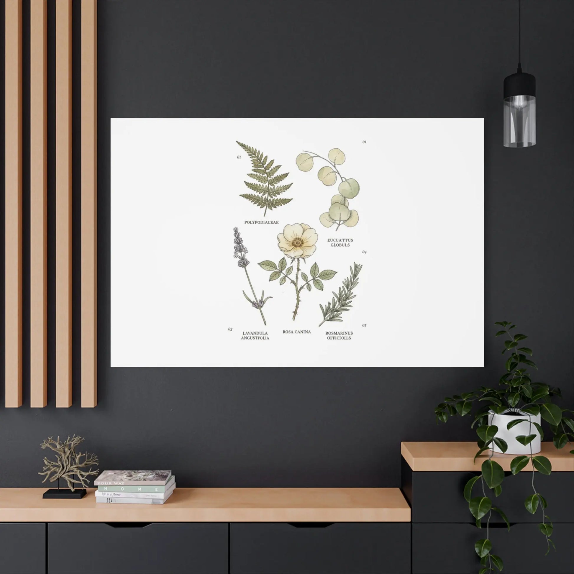 Botanical Illustration Canvas | Herbarium Wall Print, Vintage Plant Diagram Printify