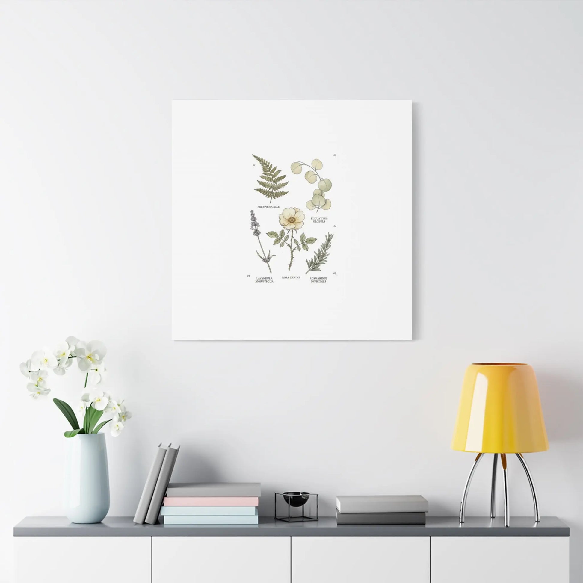 Botanical Illustration Canvas | Herbarium Wall Print, Vintage Plant Diagram Printify