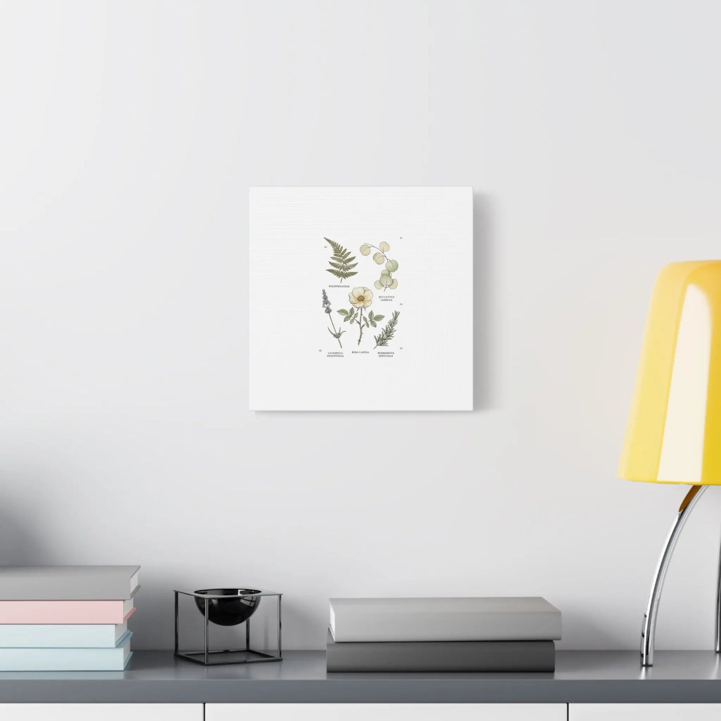 Botanical Illustration Canvas | Herbarium Wall Print, Vintage Plant Diagram Printify