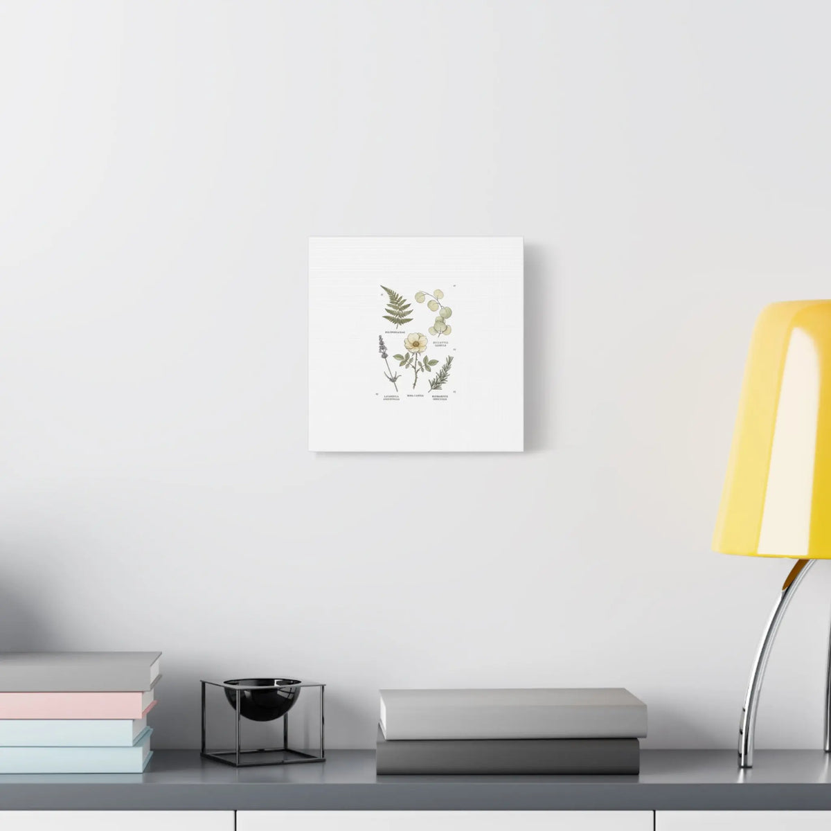 Botanical Illustration Canvas | Herbarium Wall Print, Vintage Plant Diagram Printify