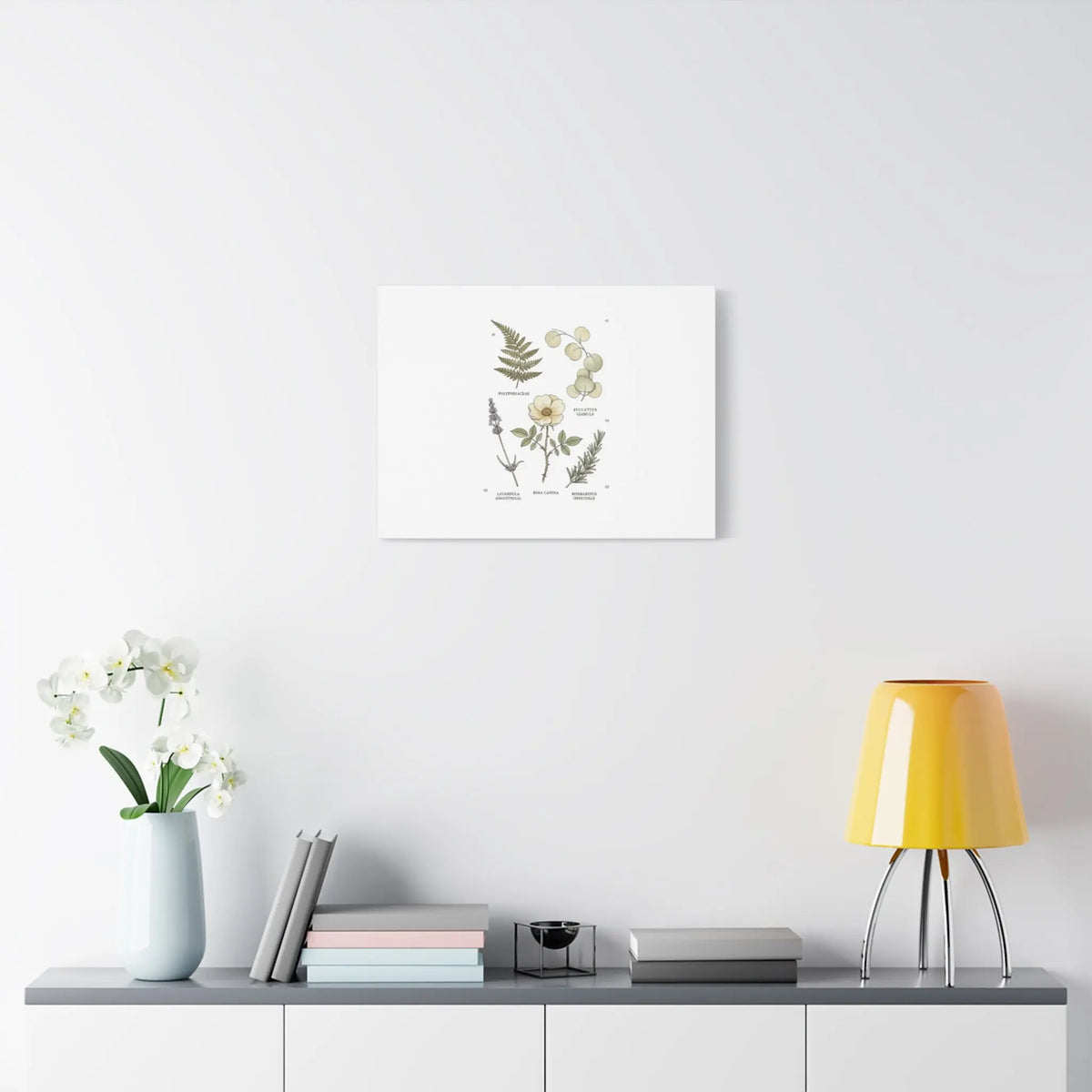 Botanical Illustration Canvas | Herbarium Wall Print, Vintage Plant Diagram Printify