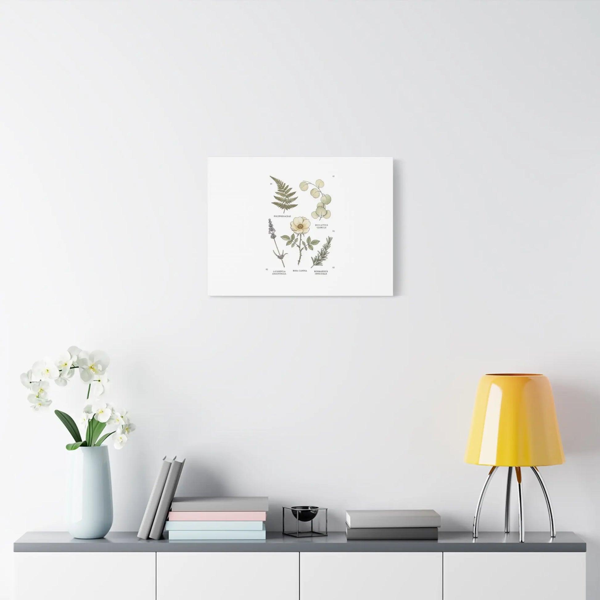 Botanical Illustration Canvas | Herbarium Wall Print, Vintage Plant Diagram Printify