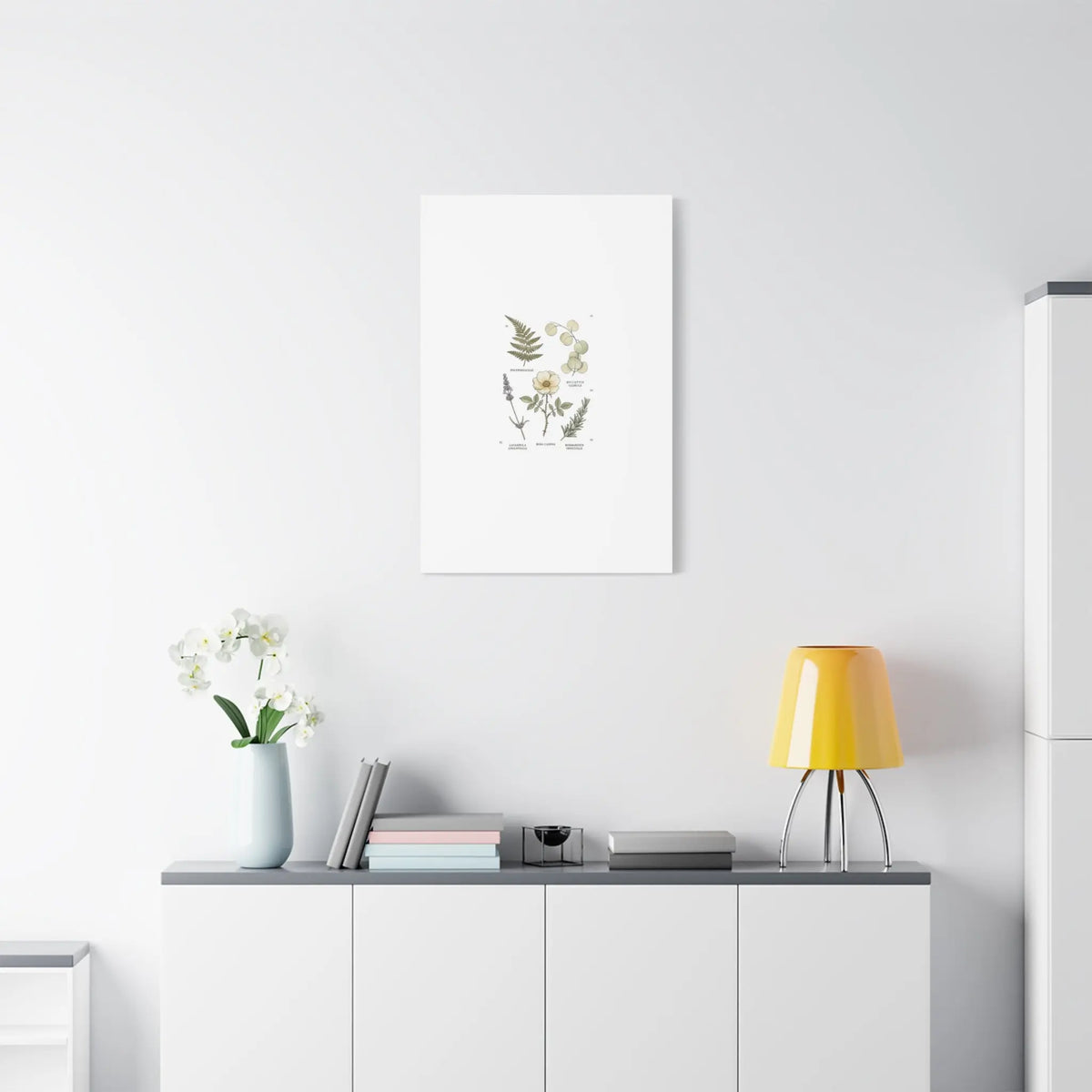 Botanical Illustration Canvas | Herbarium Wall Print, Vintage Plant Diagram Printify