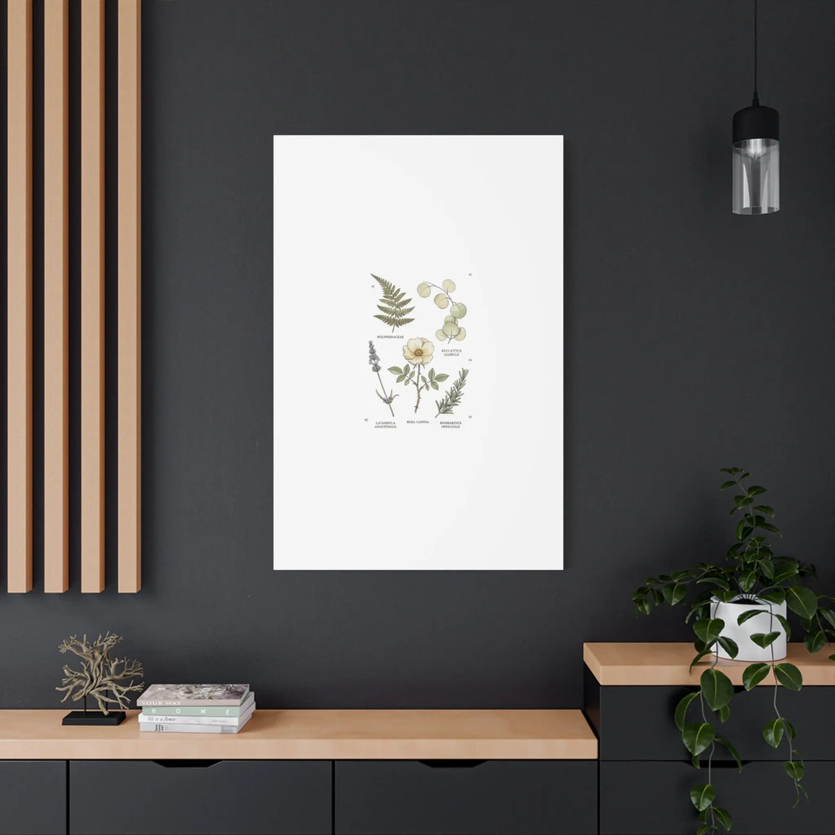 Botanical Illustration Canvas | Herbarium Wall Print, Vintage Plant Diagram Printify